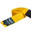 eng_pl_BJJ-Kids-Belt-Yellow-168_1